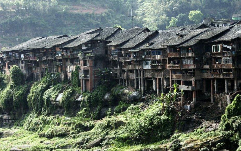 黑豆怎么样能煮烂啊游戏画面